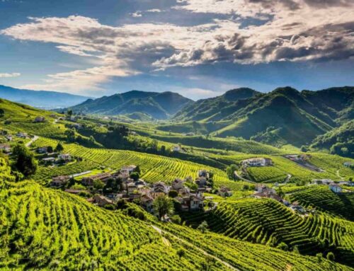 Le Colline Venete a Colori – Patrimonio dell’Unesco