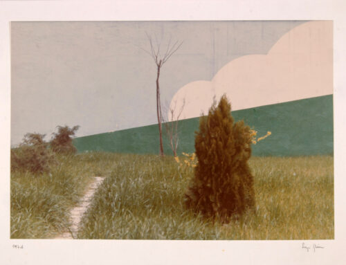 I (NON) LUOGHI DI LUIGI GHIRRI