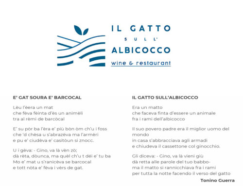 Il Gatto sull’Albicocco: dove la Romagna diventa poesia da gustare