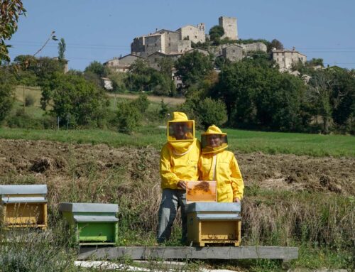 Il custode delle api: Sant’Agata Feltria e il ronzio della vita