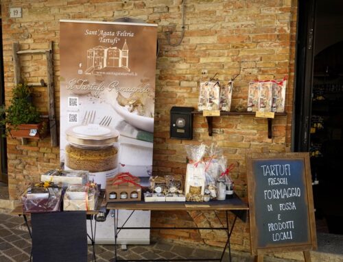 Sotto il manto del bosco: Lorenzo Boldrini e la Via del Tartufo