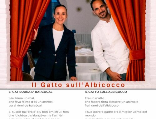 Il Gatto sull’Albicocco: dove la Romagna diventa poesia da gustare