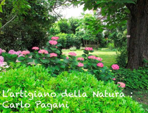L’artigiano della Natura : Carlo Pagani