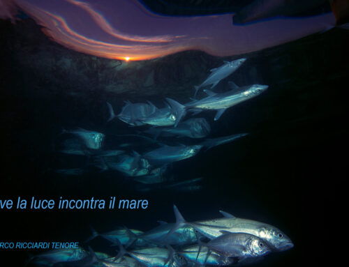 Dove la luce incontra il mare